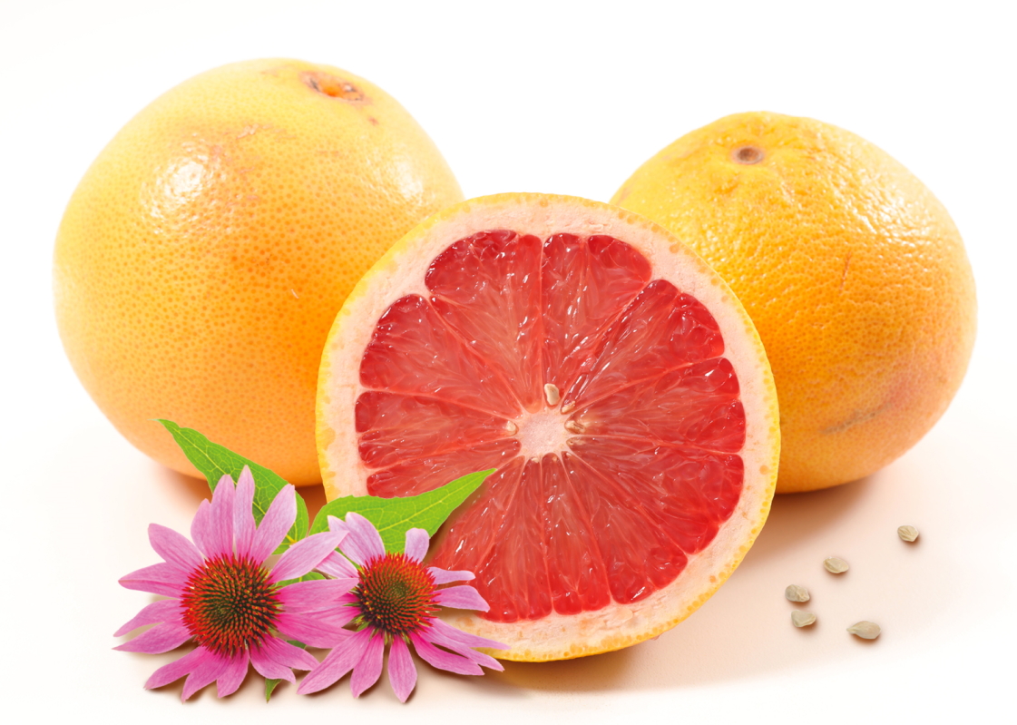 Grapefruitkernextrakt Informationen Anwendungsbeispiele Kaufen