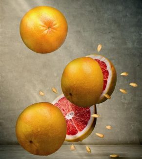 Grapefruitcollage_groß (Large)